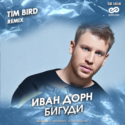   -  (Tim Bird Remix) [2019]