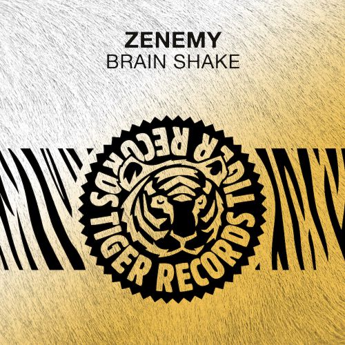 Zenemy - Brain Shake (Original Mix).mp3