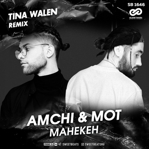 Amchi &  -  (Tina Walen Dub Version).mp3