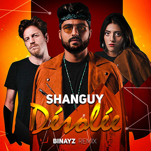 Shanguy - Désolée (Binayz Radio Edit).mp3