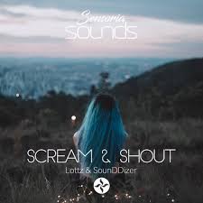 Lottz & SounDDizer - Scream & Shout (Extended Mix).mp3