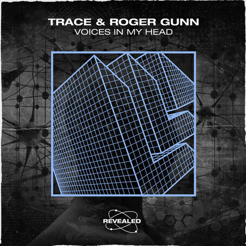 Trace & Roger Gunn - Voices In My Head (Extended Mix).mp3
