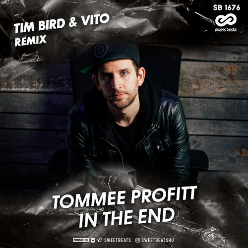 Tommee Profitt - In The End (Tim Bird & Vito Remix) [2020]