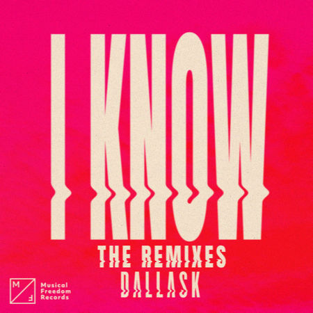 DallasK - I Know (DLMT Remix).mp3