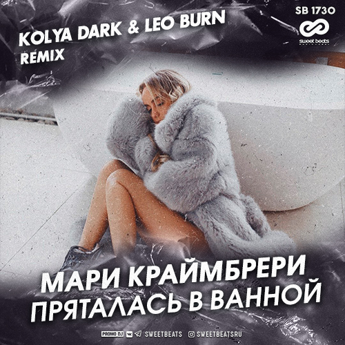   -    (Kolya Dark & Leo Burn Remix) [2020]