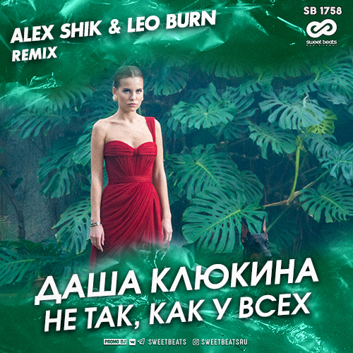   -  ,    (Alex Shik & Leo Burn Remix) [2020]