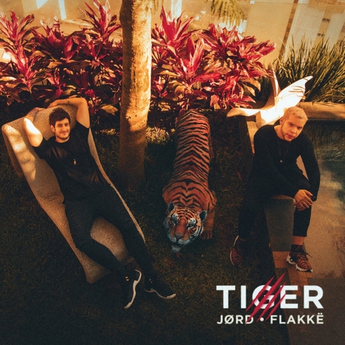 JØRD & Flakkë - Tiger (Extended Mix).mp3