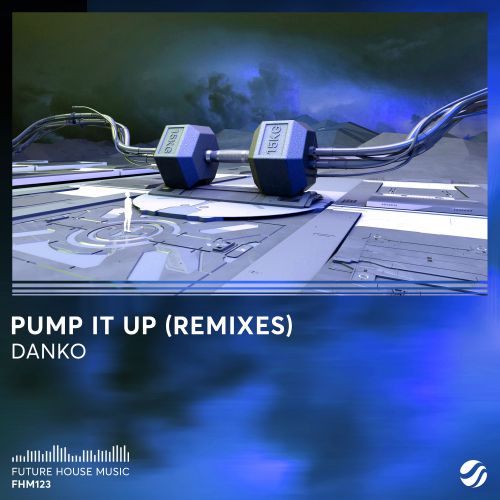 Danko - Pump It Up (Tigerlily x Rudeejay & Da Brozz Remix).mp3