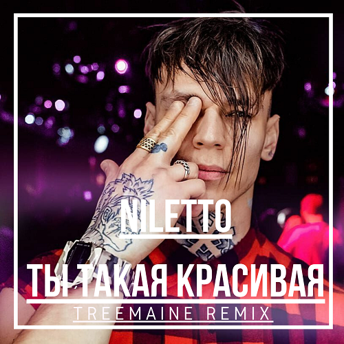 NILETTO -    (TREEMAINE Remix)Radio edit.mp3