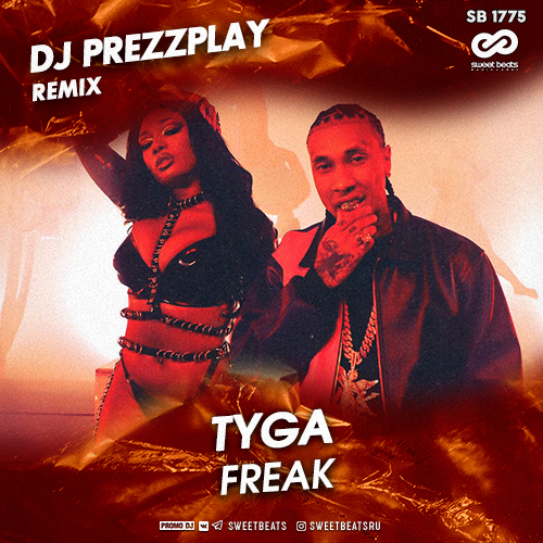 Tyga - Freak (DJ Prezzplay Radio Edit).mp3