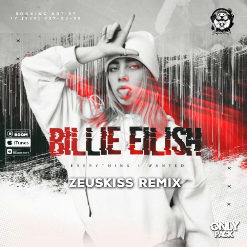 Billie Eilish - Everything I Wanted (Zeuskiss Remix) [2020]