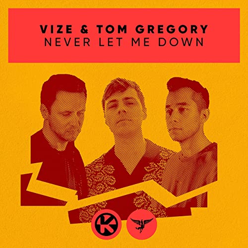 Vize & Tom Gregory - Never Let Me Down (Extended Mix) [2020]