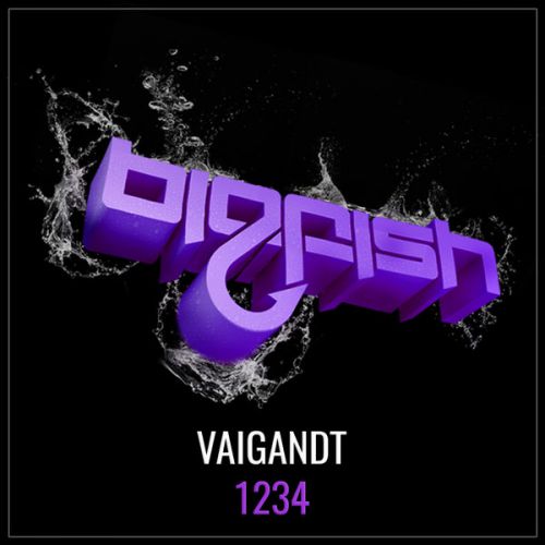 Vaigandt - 1234 (Original Mix) [Big Fish Recordings].mp3