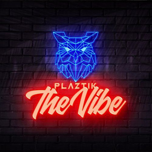 Plaztik - The Vibe (Extended Mix).mp3