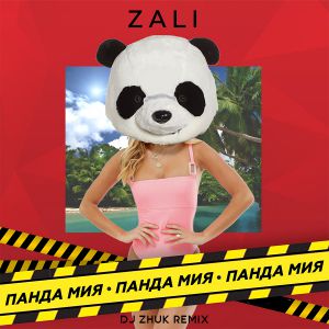MC Zali -   (DJ Zhuk Remix).mp3