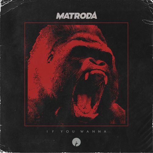 Matroda - If You Wanna (Original Mix).mp3