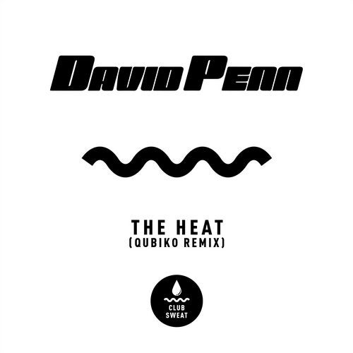David Penn - The Heat (Qubiko Remix).mp3