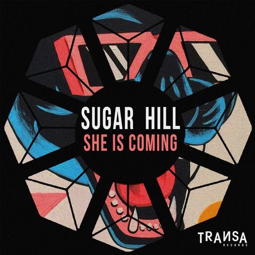 Sugar Hill - She is Coming (Original Mix) Transa Records.mp3