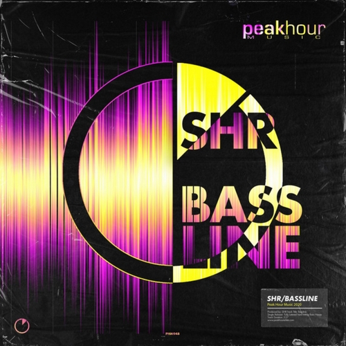 Shr - Bassline (Original Mix).mp3