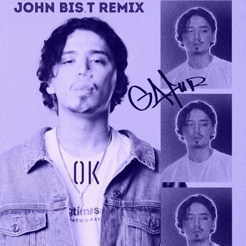 Gafur - OK (John Bis.T Remix) (Radio Edit).mp3