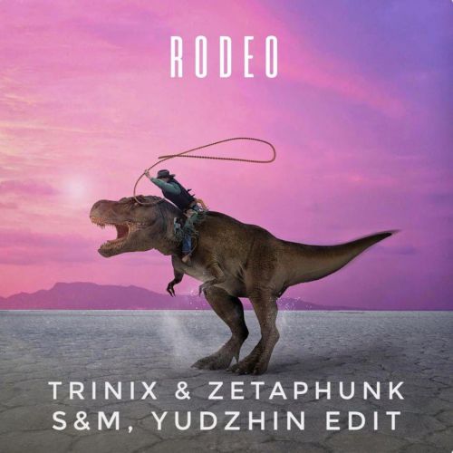 TRINIX & ZETAPHUNK - Rodeo (S&M, YUDZHIN Radio Edit).mp3