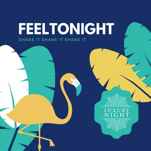 Feeltonight - Shake It Shake It Shake It (Original Mix) [Luxury Night].mp3