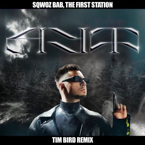 SQWOZ BAB, The First Station -  (Tim Bird Remix).mp3