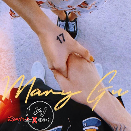 Mary Gu - 17 (Xeigen Remix) [2020]