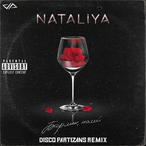 NATALiYA - ,  (Disco Partizans Remix).mp3