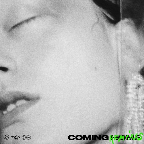 Tessa Dixson - Coming Home (DJ Licious Extended Remix).mp3