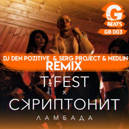 T-Fest &  -  (DJ DeN PoZitiVe & SerG ProJecT & NedliN Remix).mp3