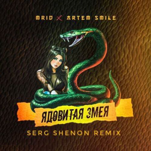 MriD & Artem Smile -   (Serg Shenon Radio Remix).mp3