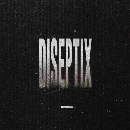 Diseptix - Trouble (Original Mix).mp3