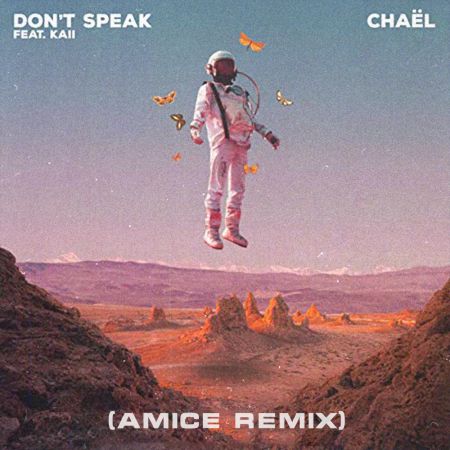 Chal - Don't Speak (feat kaii) (Amice Remix).mp3