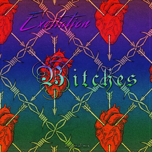 Excitation - Bitches (Original Mix).mp3