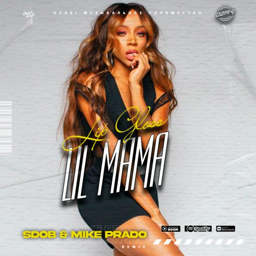 Lil Mama - Lip Gloss (Sdob & Mike Prado Remix)(Radio Edit).mp3