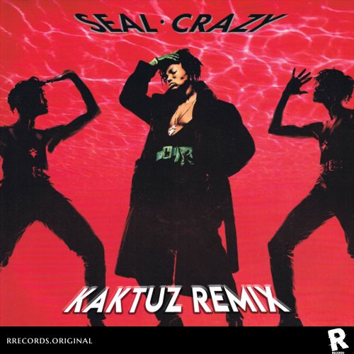 Seal - Crazy (KaktuZ RemiX).mp3