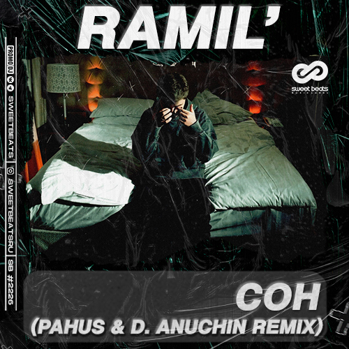 Ramil' -  (Pahus & D. Anuchin Radio Edit).mp3