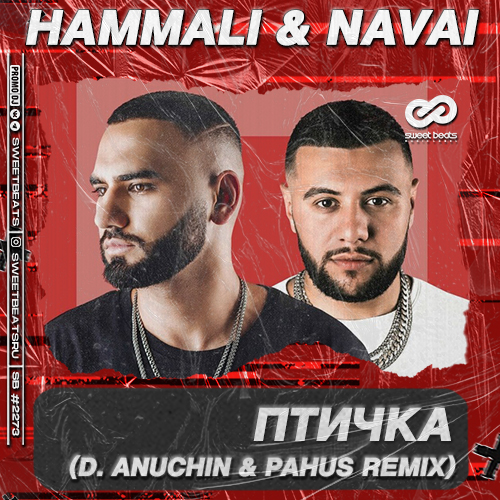 HammAli & Navai -  (D. Anuchin & Pahus Remix).mp3