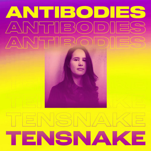 02. Tensnake feat. Cara Melin - Antibodies (Tensnake Disco Extended Mix).mp3