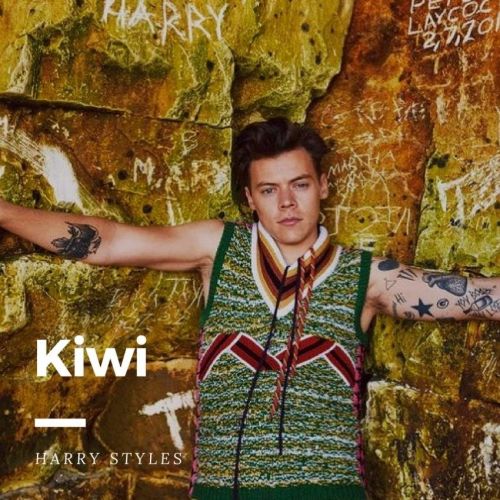 Harry Styles - Kiwi (DJ Stray Intro).mp3