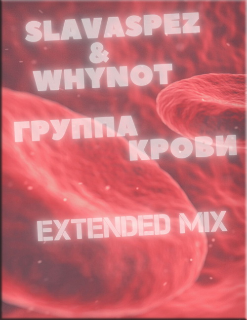 SlavaSpez & Whynot -   (Extended Mix) [2021].mp3
