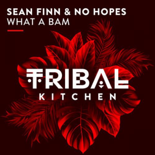 Sean Finn & No Hopes - What A Bam (Original Mix) [2021]