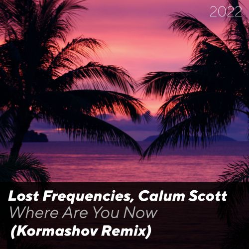 Lost Frequencies, Calum Scott - Where Are You Now (Kormashov Remix) [2022]