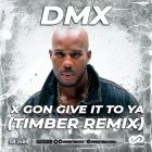 Dmx - X Gon Give It To Ya (Timber Remix) [2022]