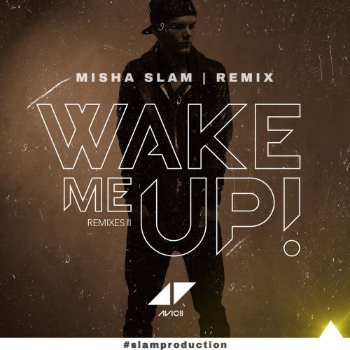 Avicii - Wake me Up(Misha Slam remix).mp3
