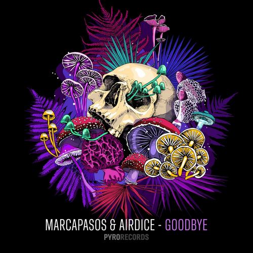 Marcapasos x Airdice - Goodbye (Extended Mix).mp3