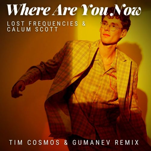 Lost Frequencies & Calum Scott - Where Are You Now (Gumanev & Tim Cosmos Remix) [2022]