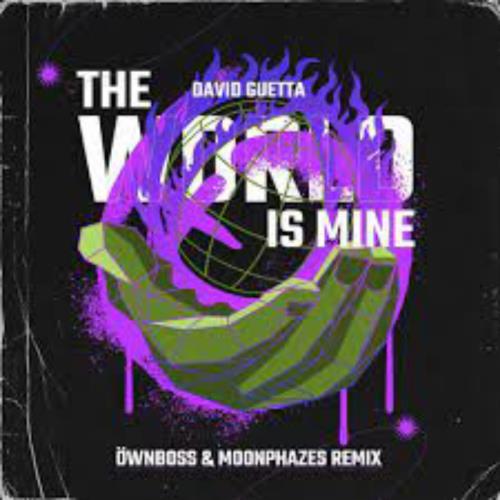 David Guetta - The World Is Mine (Öwnboss & Moonphazes Remix) [2022]