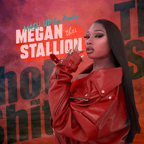 Megan Thee Stallion - Thot Shit (Mash-Up by Andy) [2022].mp3
